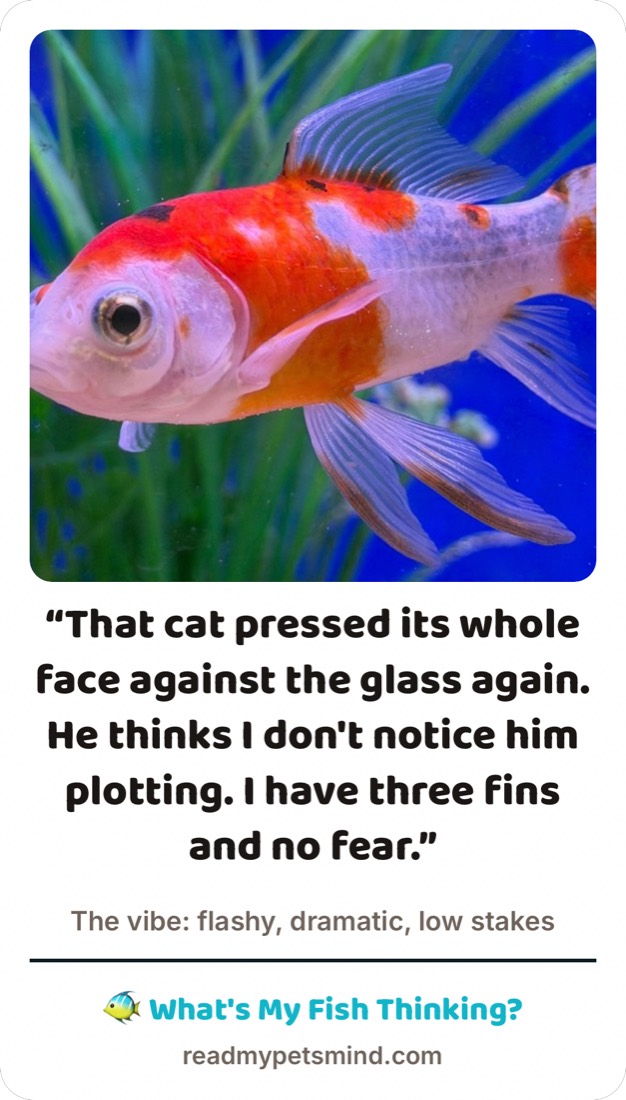 A bright goldfish in a tank, captioned by the app.